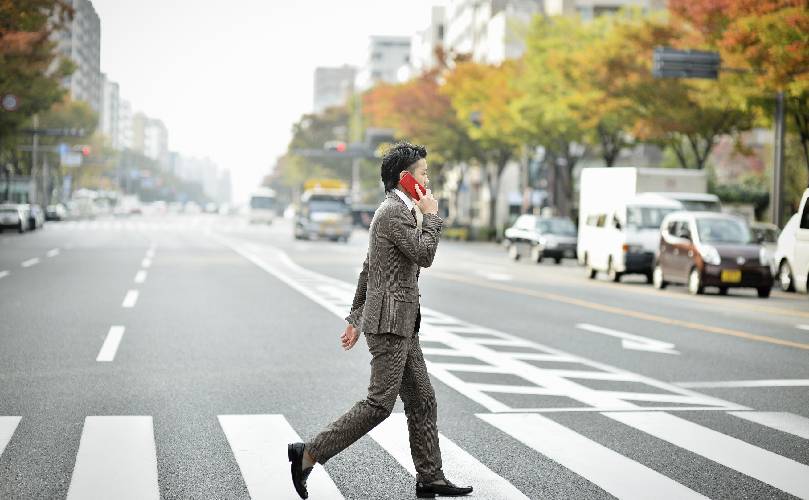 A man on the phone passing a zebra and in front him are many colorful trees with many cars parked