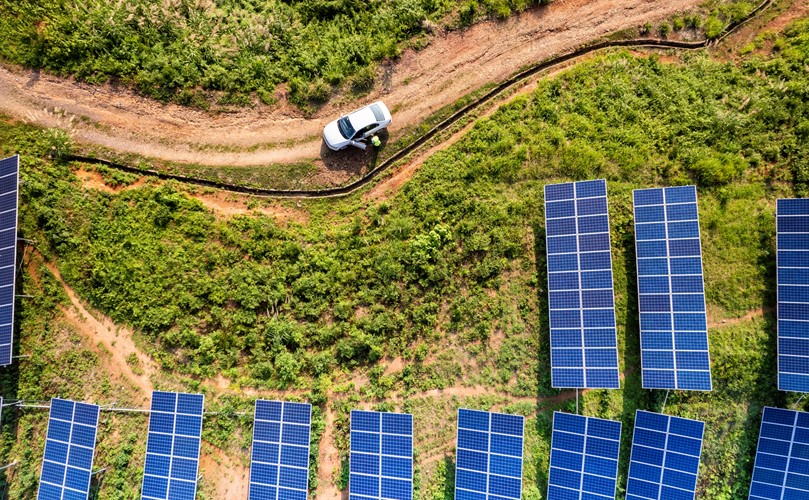 Overhead view of a white car parked next to a field of solar panels