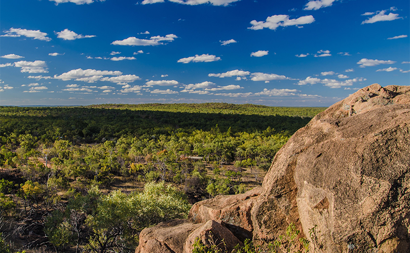 View of the trees and rocks in the Undara Volcanic National Park, Australia