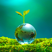 緑の苔の上に置かれた地球儀と小さな新芽