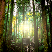 森林の中に輝く電球、環境に優しいアイデア