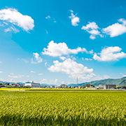 青い空と白い雲の下に広がる広大な田園風景