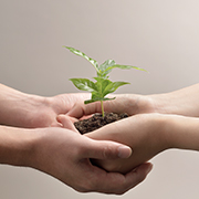 大人と子供の手で大切に持たれた小さな苗木