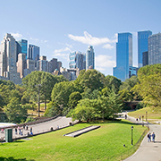青空の下、高層ビル群を望む都市公園の画像