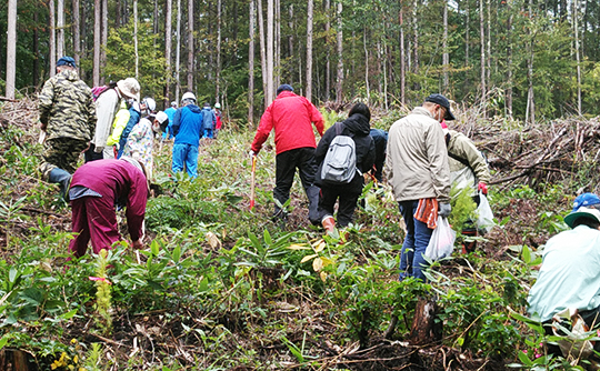 北信地区富士通グループの森における森林保全活動の様子