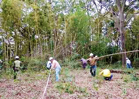 「栗木山王山特別緑地保全地区」の緑地保全活動の様子