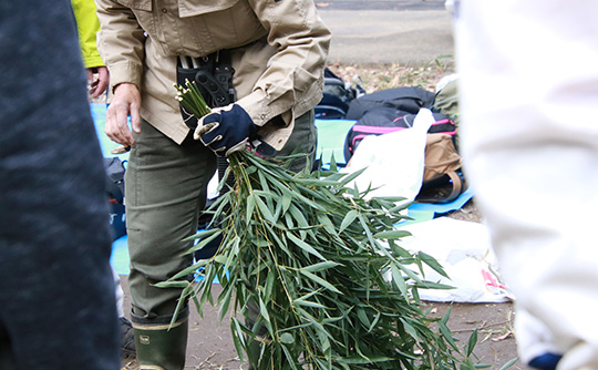 「栗木山王山特別緑地保全地区」の竹林伐採や下草刈りの様子