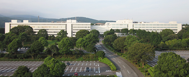 沼津工場に続く緑に囲まれた道路