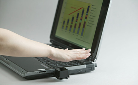 Image of PalmSecure(2005)