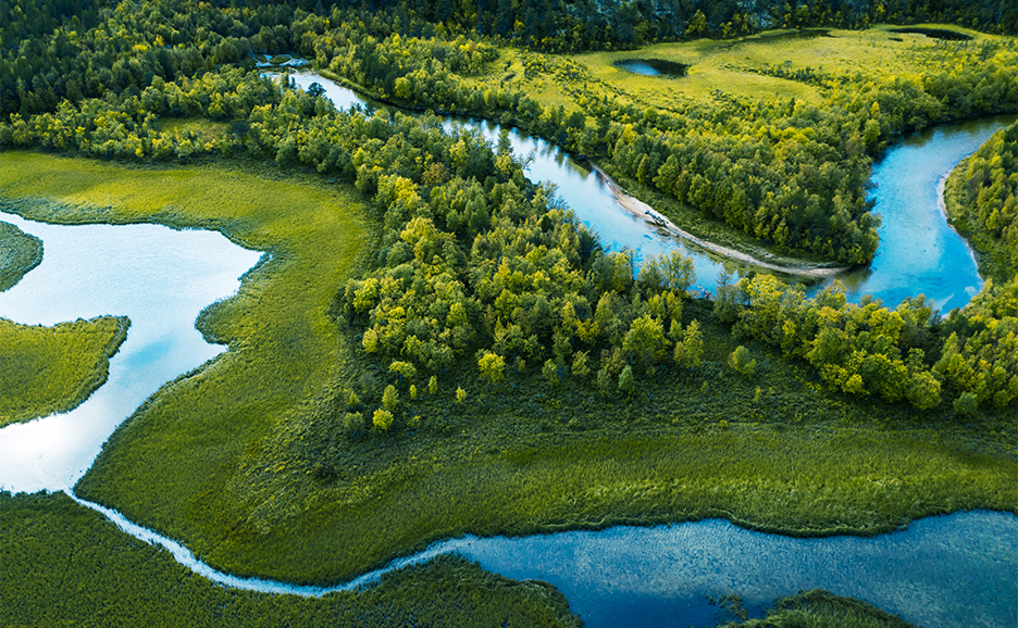 Aerial photography of lush green landscapes