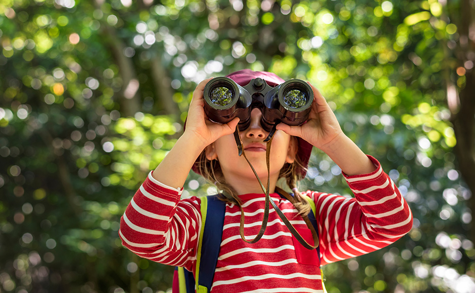 森の中で双眼鏡を覗く子供