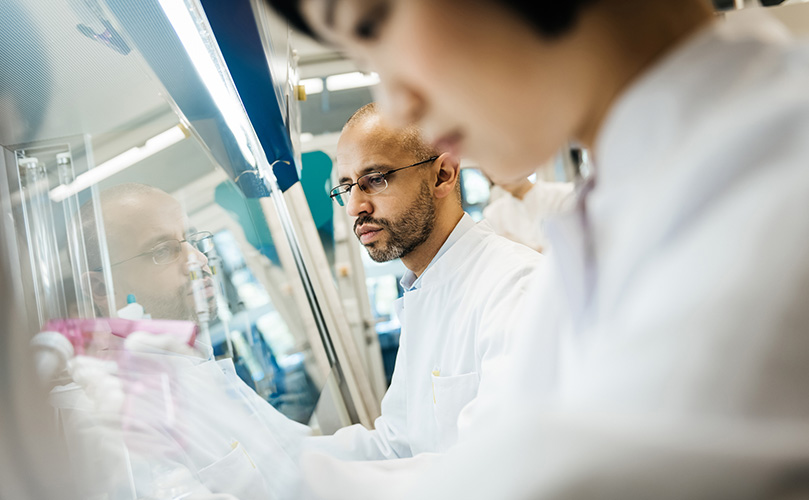 Two chemists working in the laboratory