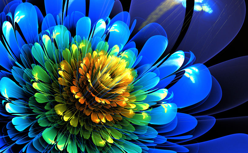 Blue flower with yellow and green petals, vibrant colors in full bloom.