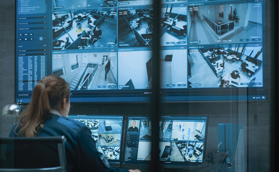 Woman watching footage from an external security camera system.