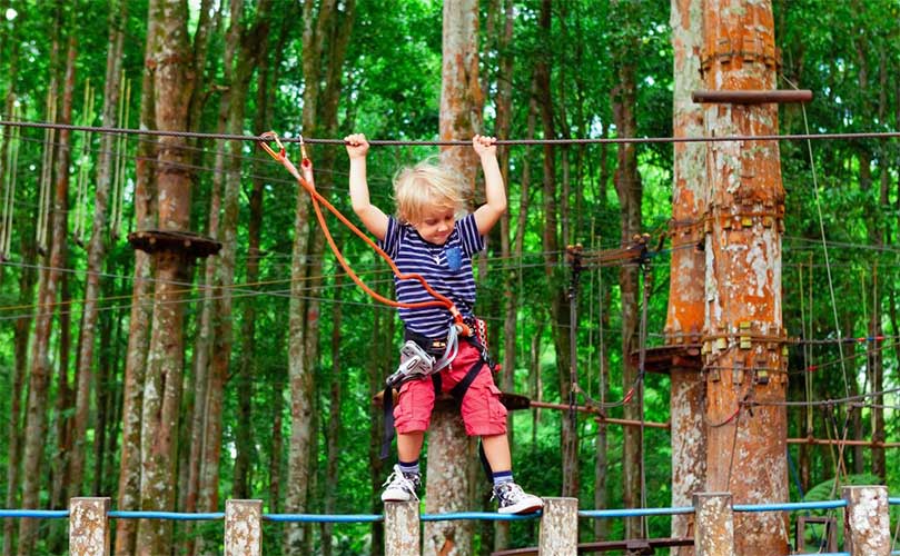 Blog Don’t let AI drive without a seatbelt