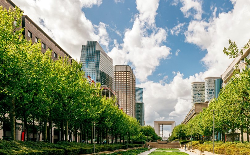 A city with trees and buildings