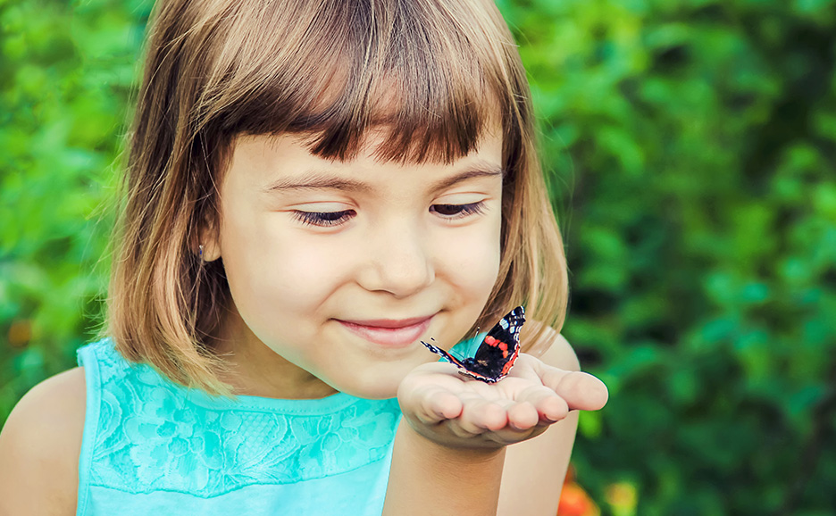 A child looking at a butterfly perched on their hand