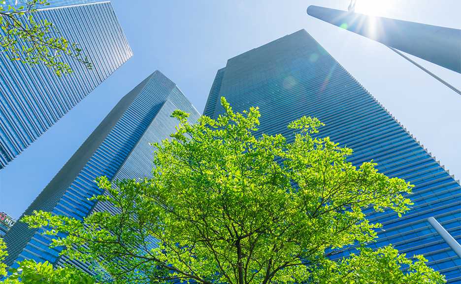 The image of looking up at green trees and skyscrapers under a blue sky