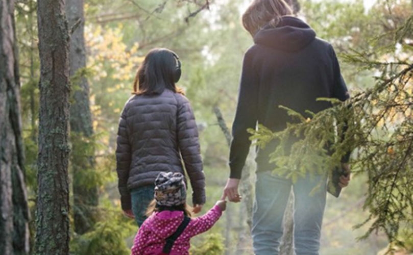 A family strolls hand in hand through a serene forest