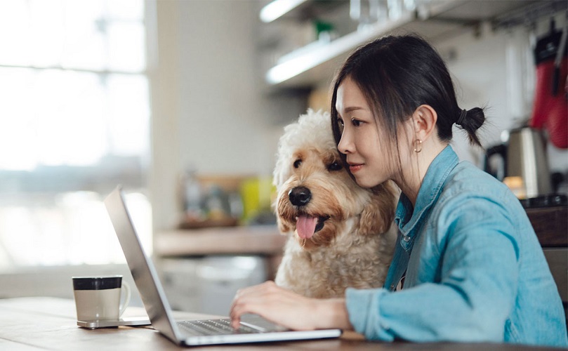 パソコンを眺める女性と犬