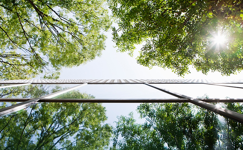 木々を映すガラス張りのビルを下から見上げる構図 の写真