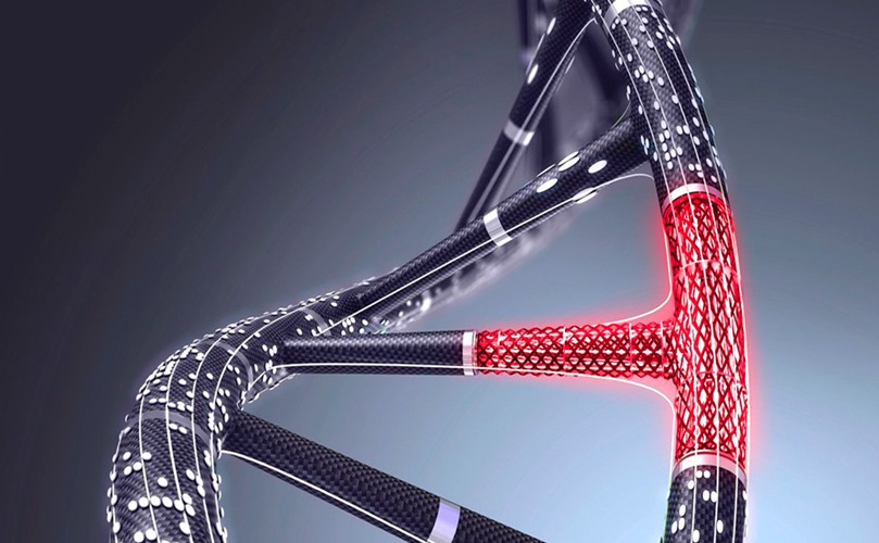 Close-up of a bicycle wheel