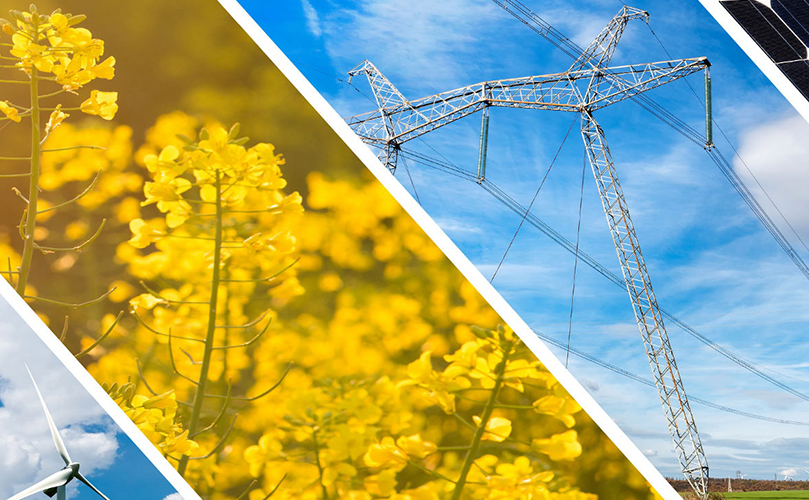 Collage of three images showing yellow rapeseed flowers, a high voltage electricity pylon, and solar panels against a blue sky