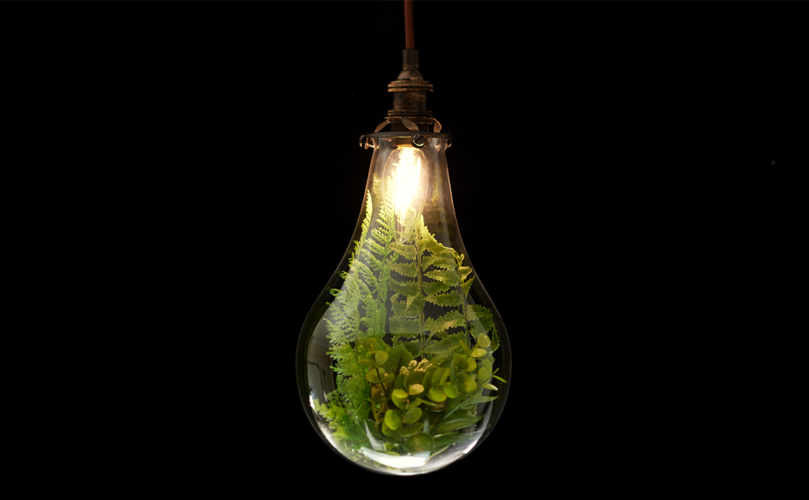 A light bulb with a plants inside