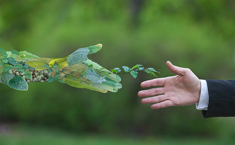 A human hand reaching for a hand made of plant