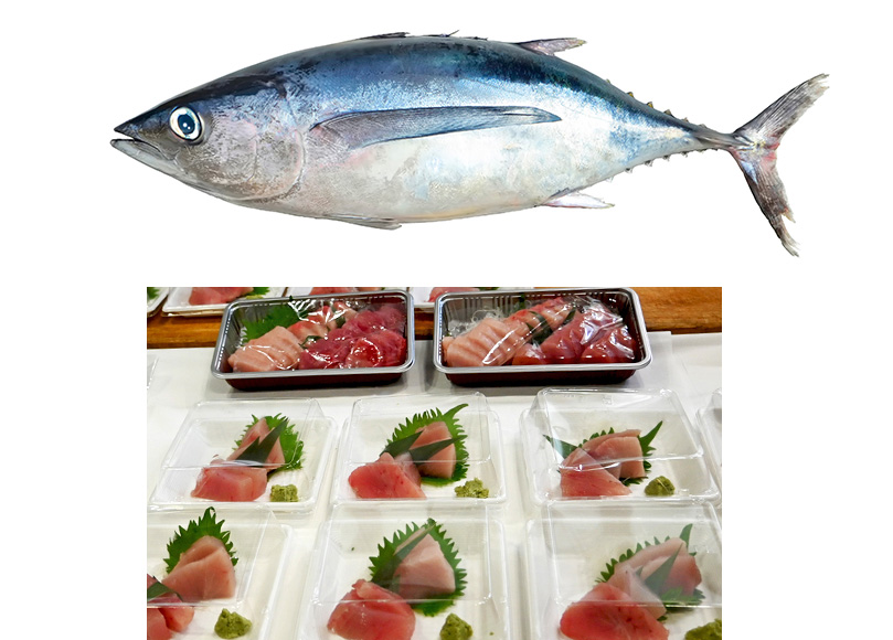 (上)ビンチョウマグロの写真(下)脂がのったビンチョウマグロの刺身