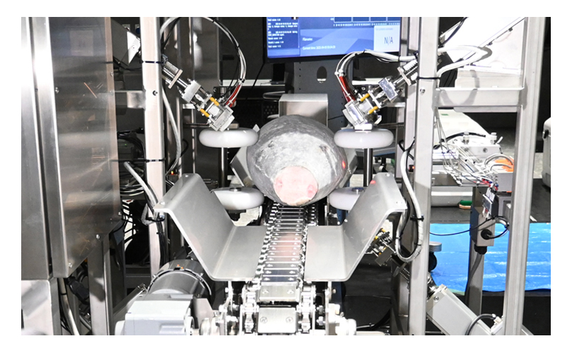 「ソノファイT-01」で脂のりを判定される冷凍ビンチョウマグロ