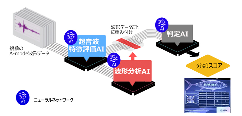 3種のAIを用いて冷凍マグロの分析と判定を行う新アルゴリズムの概念図