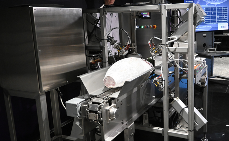 Frozen Tuna AI Processing Line