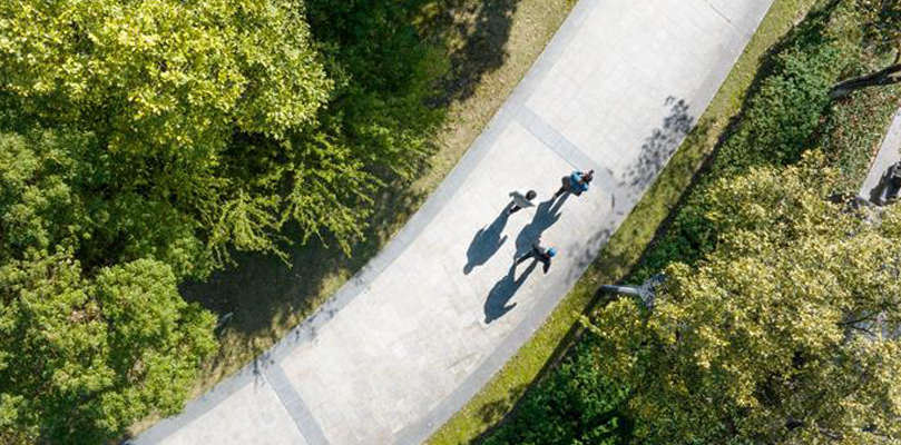 上空から見た、緑豊かな公園の曲がりくねった道を歩く3人の人々。