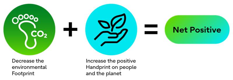 Conceptual Diagram of Net Positive: An approach focused on generating a positive impact on the global environment, rather than merely mitigating environmental burdens.