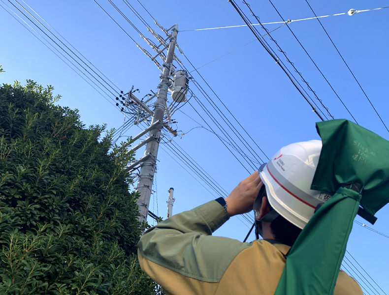 配電設備を点検する巡視員