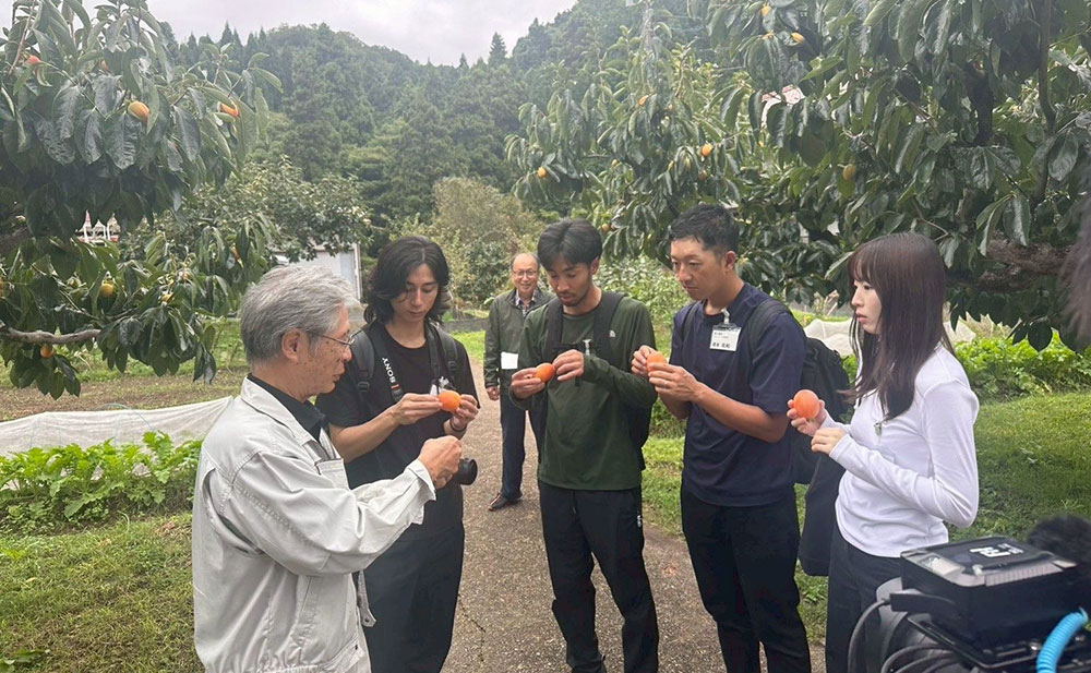 フィールドワークの様子