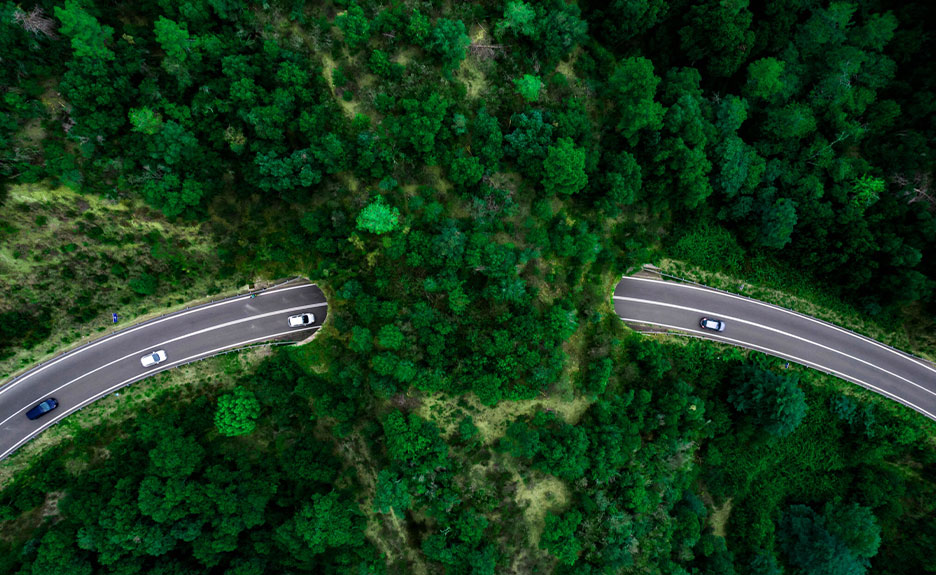 Auch digital hinterlassen wir einen CO2-Fußabdruck. Mit Racks4Roots möchten wir etwas zurückgeben.