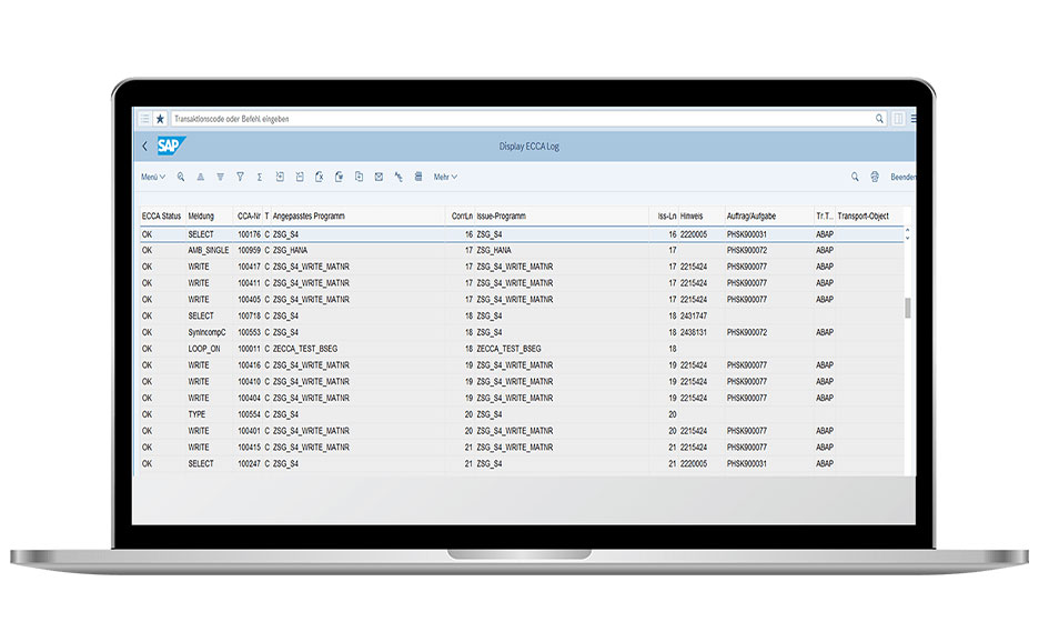 Überblick über den Custom Code - mit Fujitsu Easy CCA // Screenshot eines Notebooks