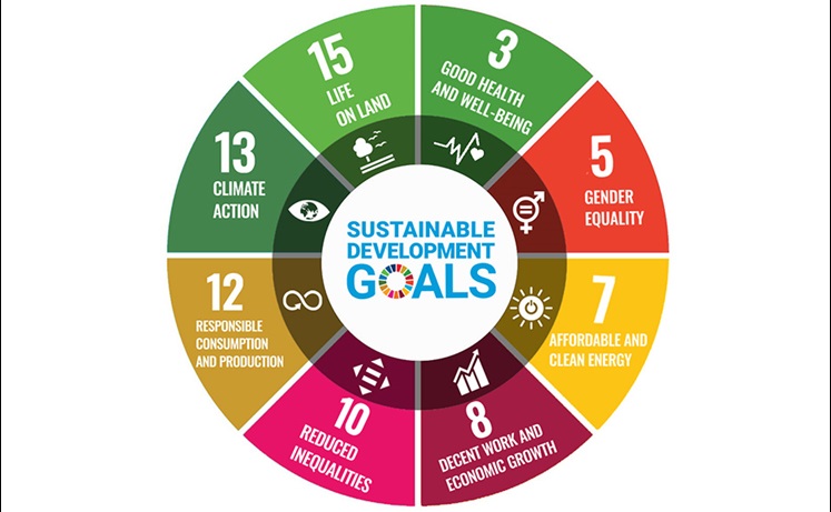A circular diagram illustrating the 17 Sustainable Development Goals aimed at promoting sustainability worldwide.
