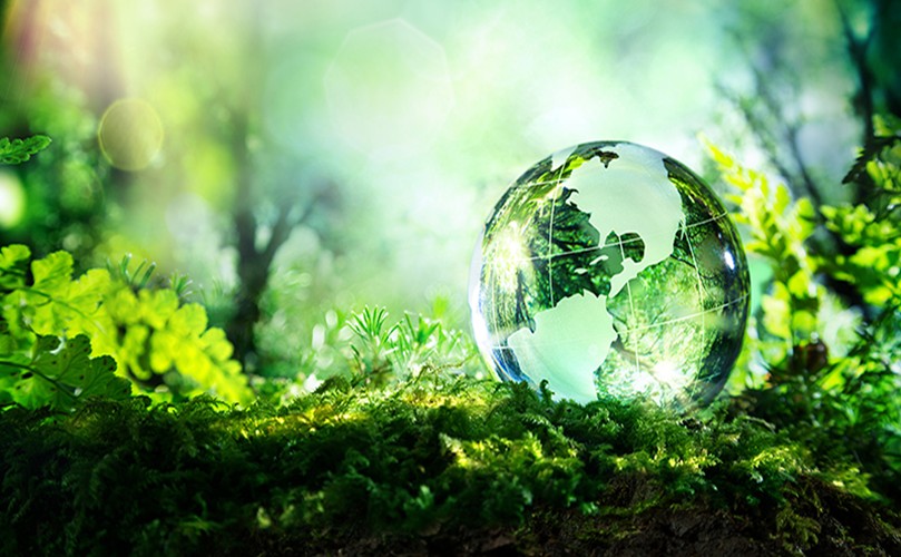 A glass globe containing a green Earth sits in the center of a lush forest, surrounded by trees and natural foliage.