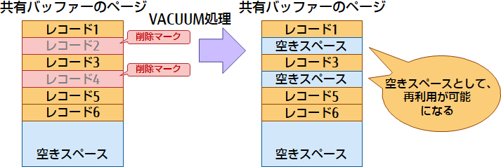 VACUUMについて