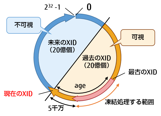 トランザクションID（XID）の扱いと凍結範囲