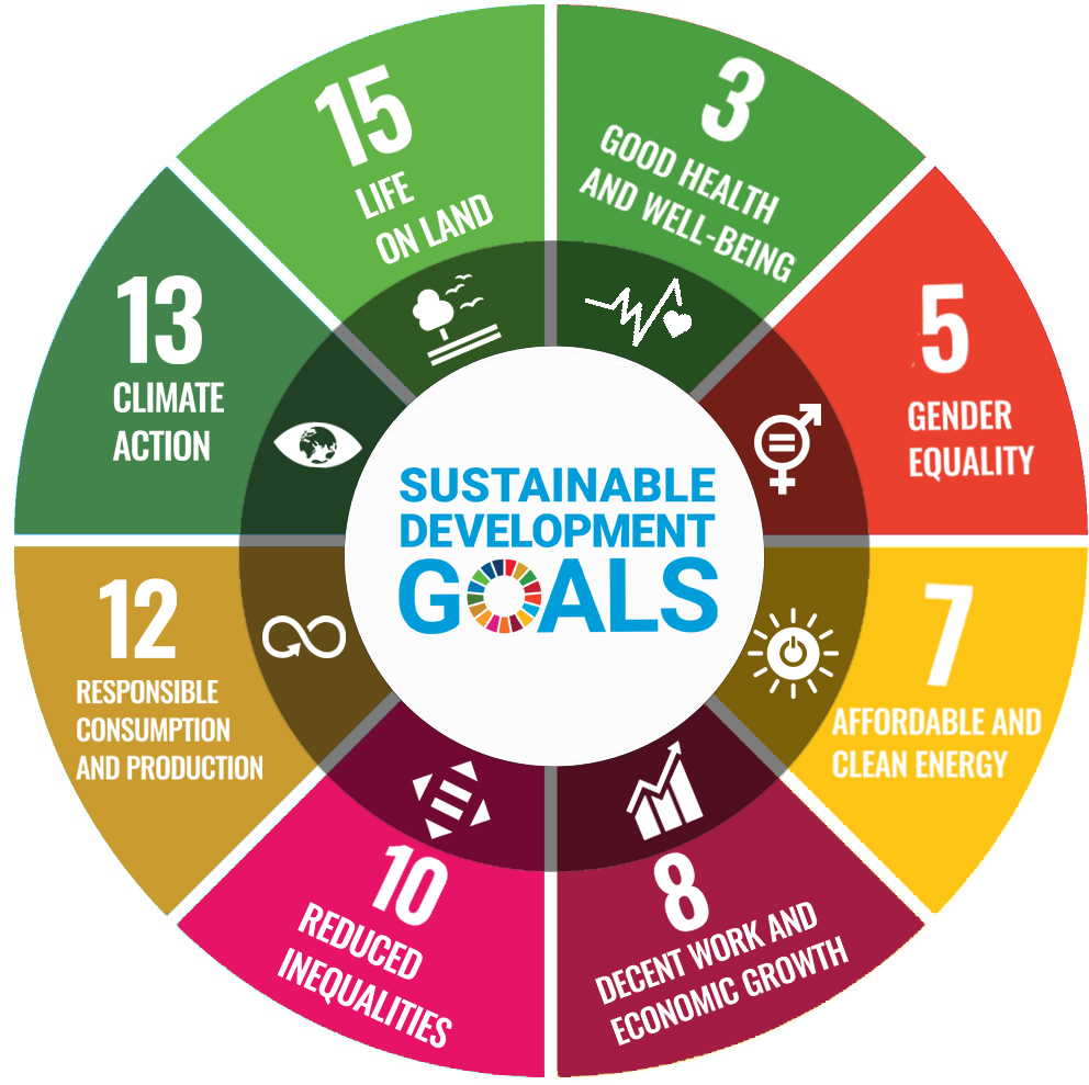 SDG-Wheel