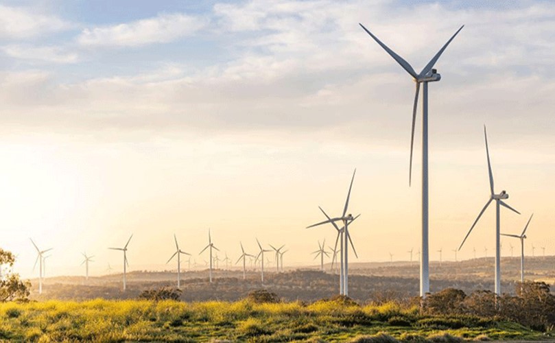 A group of wind turbines in a field