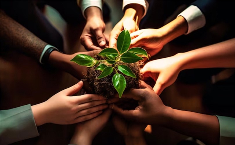 Several hands from different people gather around a small green plant being held in soil, symbolizing teamwork, growth, and environmental care.