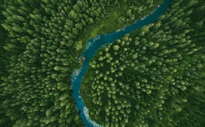 A joint effort to achieve carbon neutrality