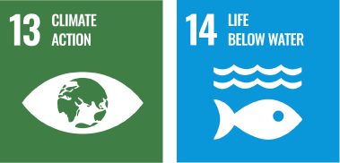 The goals most relevant to this project