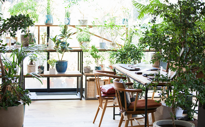 Beautiful green shop