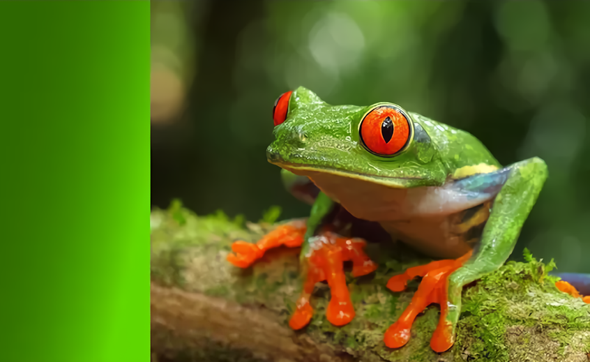 動画のサムネイル画像